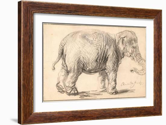 An Elephant-Rembrandt van Rijn-Framed Giclee Print