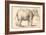 An Elephant-Rembrandt van Rijn-Framed Giclee Print