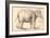 An Elephant-Rembrandt van Rijn-Framed Giclee Print