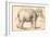 An Elephant-Rembrandt van Rijn-Framed Giclee Print