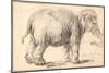 An Elephant-Rembrandt van Rijn-Mounted Giclee Print