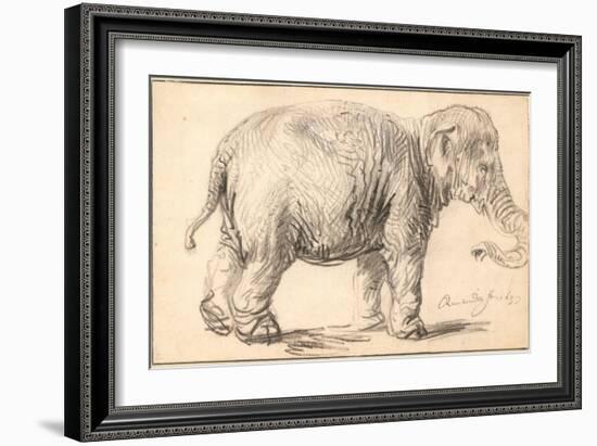 An Elephant-Rembrandt van Rijn-Framed Giclee Print