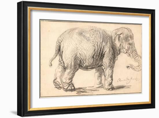 An Elephant-Rembrandt van Rijn-Framed Giclee Print