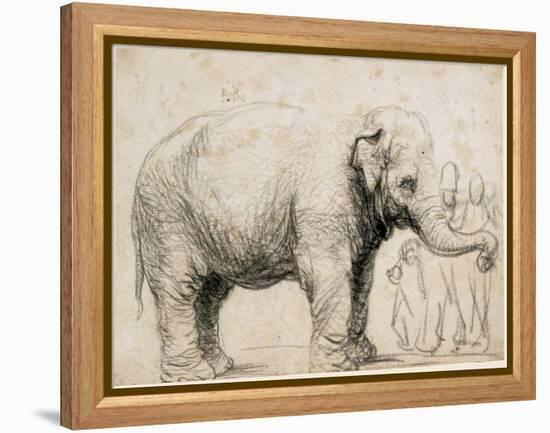 An Elephant-Rembrandt van Rijn-Framed Stretched Canvas