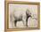 An Elephant-Rembrandt van Rijn-Framed Stretched Canvas