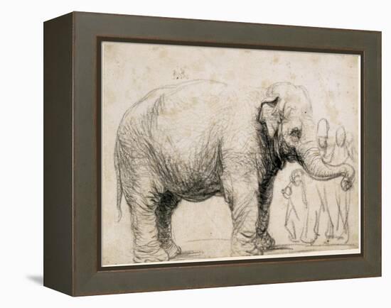 An Elephant-Rembrandt van Rijn-Framed Stretched Canvas