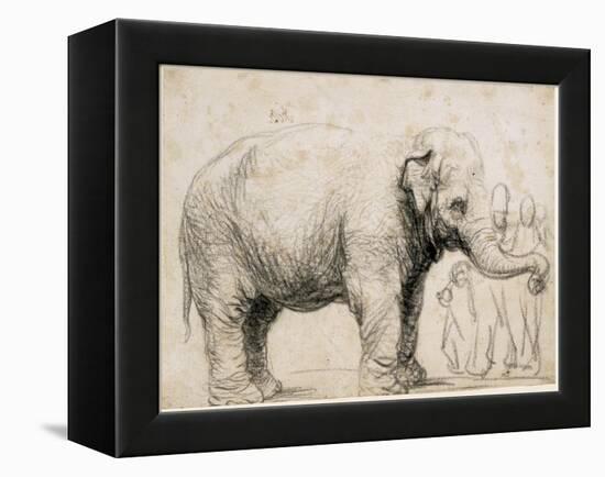 An Elephant-Rembrandt van Rijn-Framed Stretched Canvas