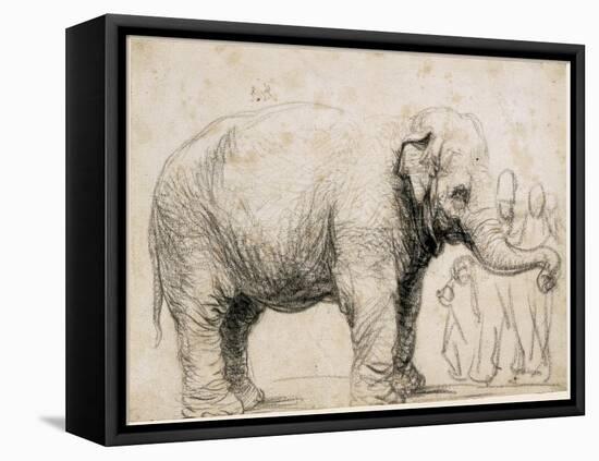 An Elephant-Rembrandt van Rijn-Framed Stretched Canvas