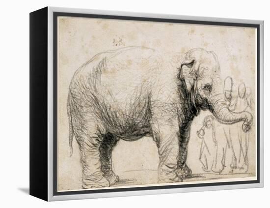 An Elephant-Rembrandt van Rijn-Framed Stretched Canvas