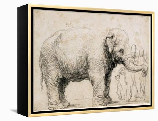 An Elephant-Rembrandt van Rijn-Framed Stretched Canvas