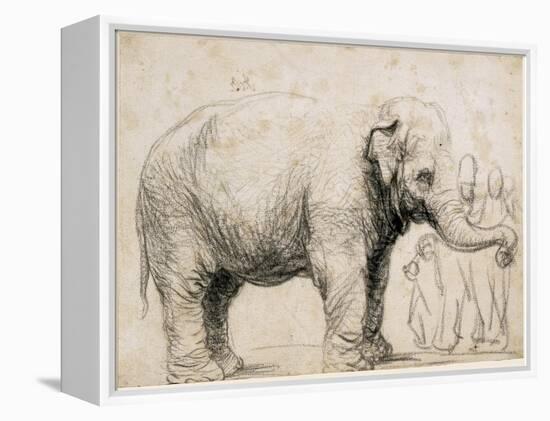 An Elephant-Rembrandt van Rijn-Framed Stretched Canvas