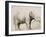 An Elephant-Rembrandt van Rijn-Framed Art Print