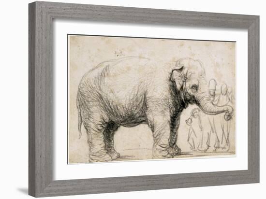 An Elephant-Rembrandt van Rijn-Framed Art Print
