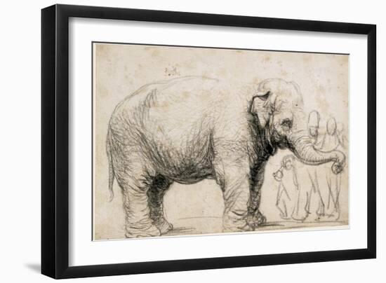 An Elephant-Rembrandt van Rijn-Framed Art Print