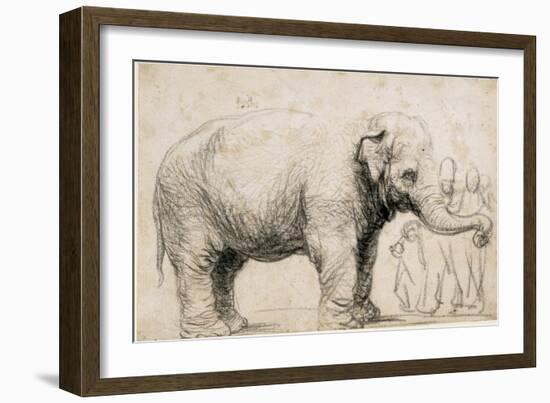 An Elephant-Rembrandt van Rijn-Framed Premium Giclee Print