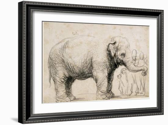 An Elephant-Rembrandt van Rijn-Framed Premium Giclee Print