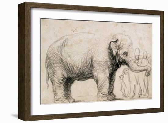 An Elephant-Rembrandt van Rijn-Framed Art Print