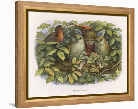 An Elf Fraternises with the Owls-Richard Doyle-Framed Stretched Canvas