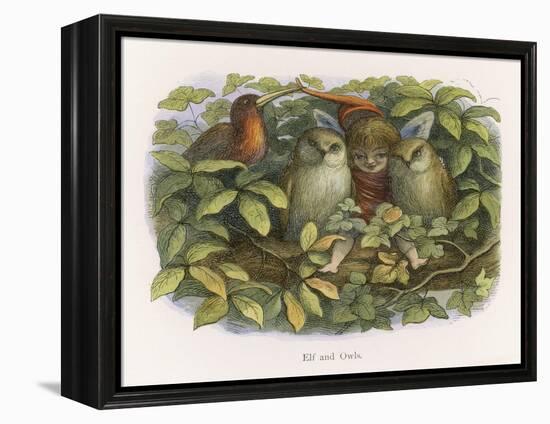 An Elf Fraternises with the Owls-Richard Doyle-Framed Stretched Canvas