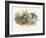 An Elf Steals a Bird's Egg-Richard Doyle-Framed Art Print