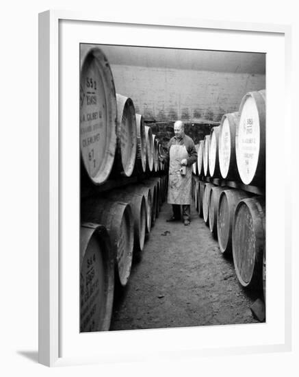 An Employee of the Knockando Whisky Distillery in Scotland, January 1972--Framed Photographic Print