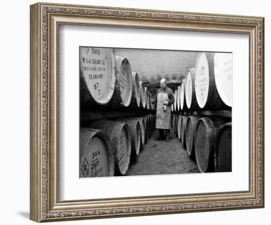 An Employee of the Knockando Whisky Distillery in Scotland, January 1972-null-Framed Photographic Print