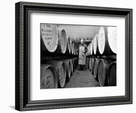 An Employee of the Knockando Whisky Distillery in Scotland, January 1972-null-Framed Photographic Print