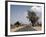 An Empty Road and the Barren Landscape of Western Eritrea, Africa-Mcconnell Andrew-Framed Photographic Print