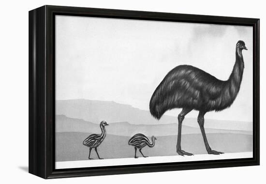 An Emu with Her Chicks-English School-Framed Premier Image Canvas