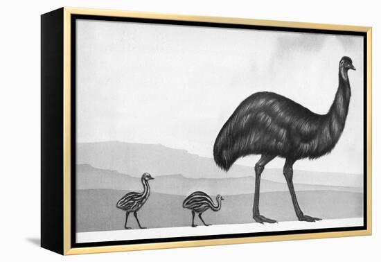 An Emu with Her Chicks-English School-Framed Premier Image Canvas