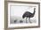 An Emu with Her Chicks-English School-Framed Giclee Print