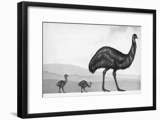 An Emu with Her Chicks-English School-Framed Giclee Print