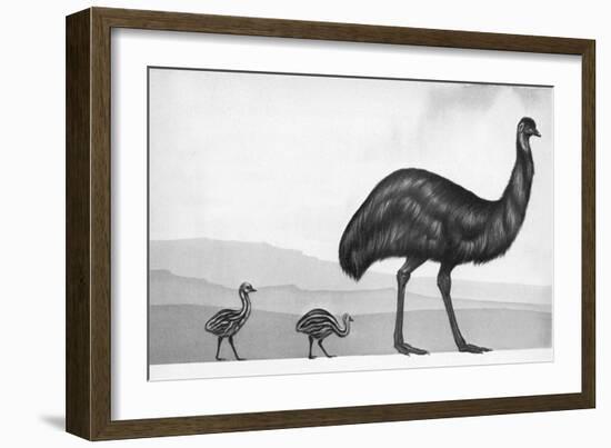 An Emu with Her Chicks-English School-Framed Giclee Print