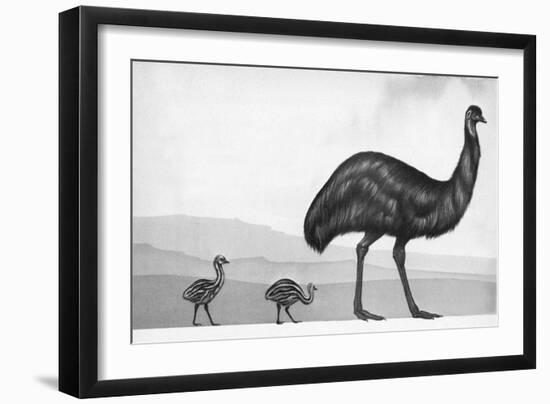 An Emu with Her Chicks-English School-Framed Giclee Print