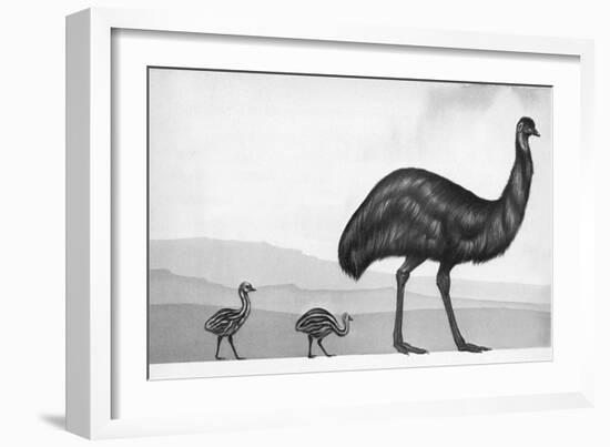 An Emu with Her Chicks-English School-Framed Giclee Print