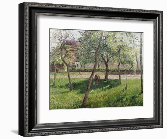 An Enclosure in Eragny-Camille Pissarro-Framed Giclee Print