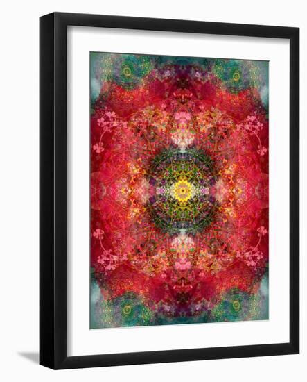 An Energetic Symmetric Onament from Flower Photographs-Alaya Gadeh-Framed Photographic Print