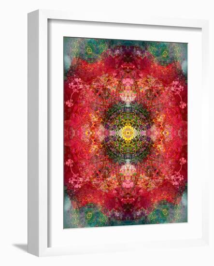 An Energetic Symmetric Onament from Flower Photographs-Alaya Gadeh-Framed Photographic Print