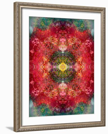 An Energetic Symmetric Onament from Flower Photographs-Alaya Gadeh-Framed Photographic Print