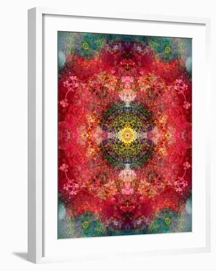 An Energetic Symmetric Onament from Flower Photographs-Alaya Gadeh-Framed Photographic Print