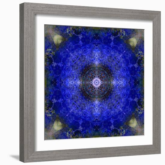 An Energetic Symmetric Onament from Flower Photographs-Alaya Gadeh-Framed Photographic Print