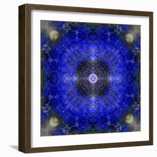 An Energetic Symmetric Onament from Flower Photographs-Alaya Gadeh-Framed Photographic Print