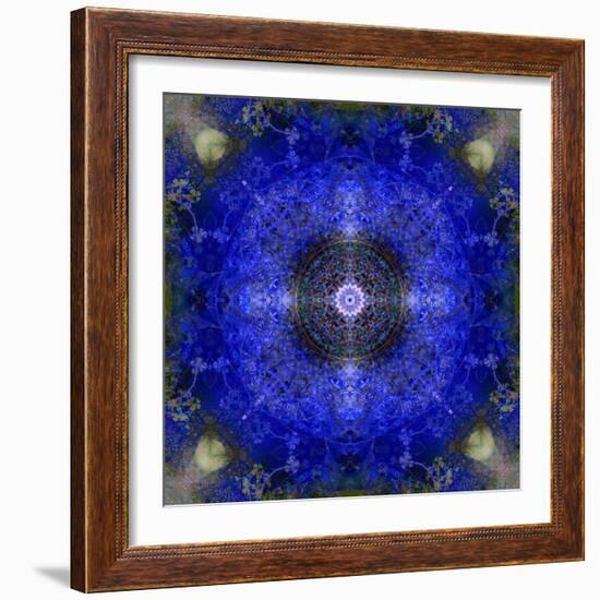 An Energetic Symmetric Onament from Flower Photographs-Alaya Gadeh-Framed Photographic Print