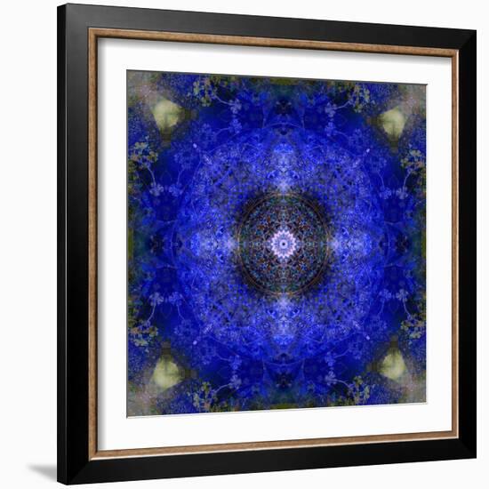 An Energetic Symmetric Onament from Flower Photographs-Alaya Gadeh-Framed Photographic Print