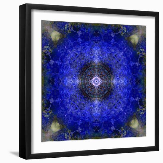 An Energetic Symmetric Onament from Flower Photographs-Alaya Gadeh-Framed Photographic Print