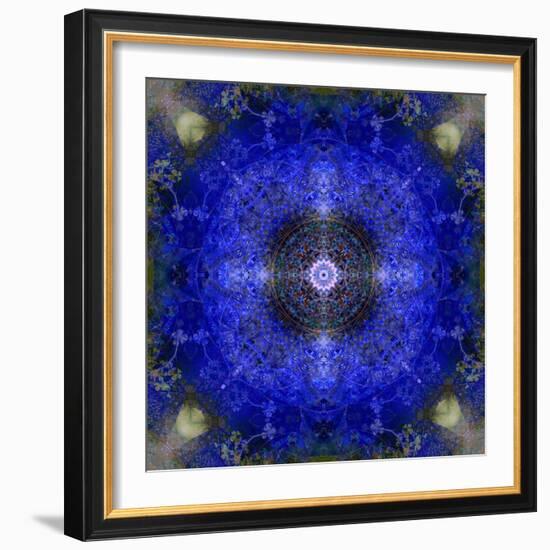 An Energetic Symmetric Onament from Flower Photographs-Alaya Gadeh-Framed Photographic Print