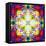 An Energetic Symmetric Onament from Flower Photographs-Alaya Gadeh-Framed Premier Image Canvas