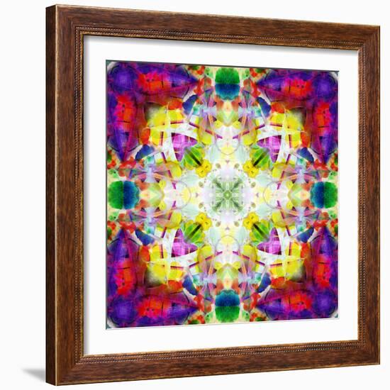 An Energetic Symmetric Onament from Flower Photographs-Alaya Gadeh-Framed Photographic Print