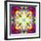 An Energetic Symmetric Onament from Flower Photographs-Alaya Gadeh-Framed Photographic Print