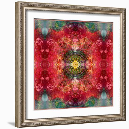 An Energetic Symmetric Onament from Flower Photographs-Alaya Gadeh-Framed Photographic Print